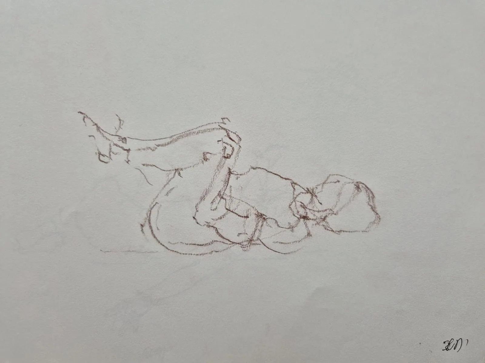 Pencil sketch of a reclining figure